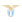 SS Lazio